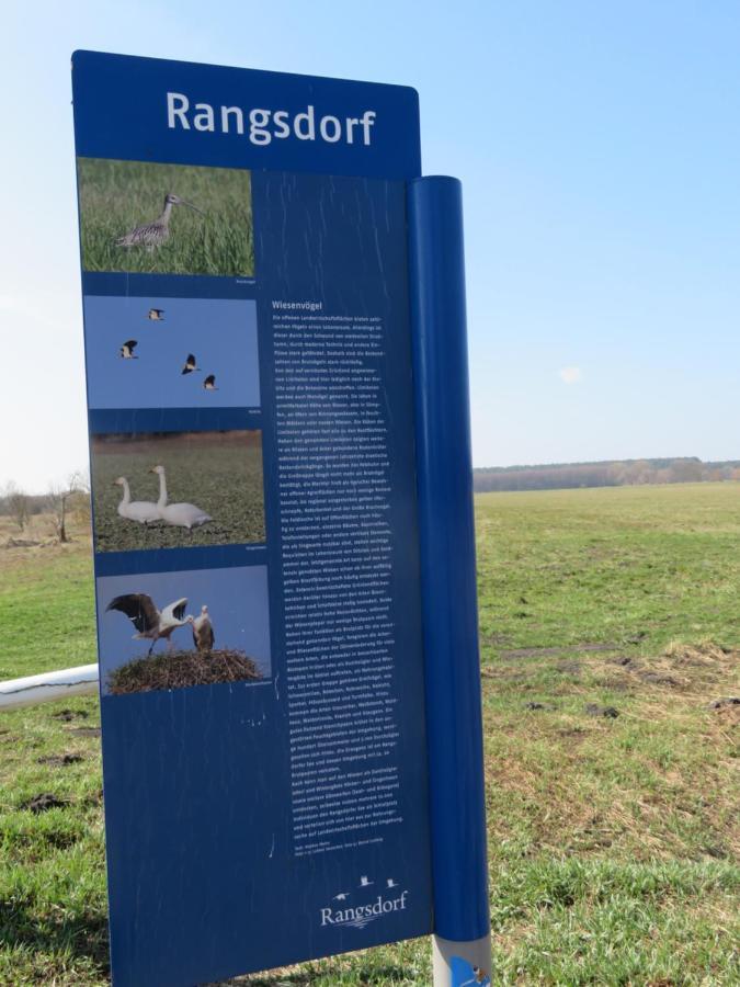Ferienhaus Schillo Rangsdorf Exteriör bild